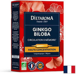 Dietaroma Гинко Билоба 1500 mg 10 g