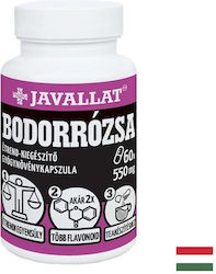 Javallat Родиола Розеа 550 mg 200 ml 60 Капсули Javallat Родиола Розеа 550 mg 200 ml 60 Капсули