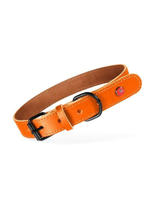 Zolux Zgardă Clasică din Piele pentru Câini 30 Cm 14 Mm Portocalie