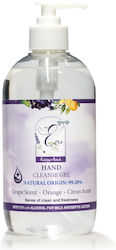 Elipack Gel 500ml