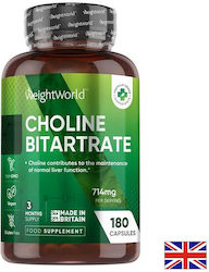 WeightWorld Холин (битартрат) 714 mg Подходящ за деца 180 капсули WeightWorld Холин (битартрат) 714 mg Подходящ за деца 180 капсули