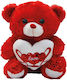 Dorosimo Valentinstag Teddybär Plüschtier 35 cm