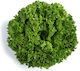 Rijk Zwaan Semințe de salată verde 5000 buc.