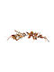 Alex-Bogen Nr. Amber 29024a 70 cm