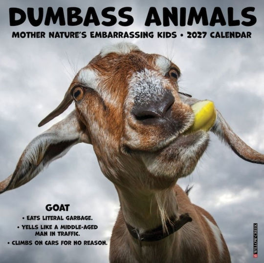 Willow Creek Press Dumbass Animals Ημερήσιο Επιτοίχιο Ημερολόγιο 2027