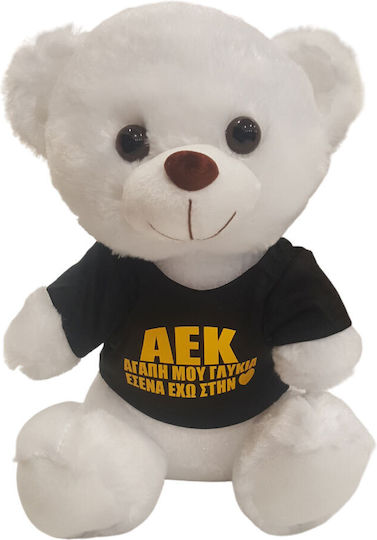 Dorosimo Valentine's Day Teddy Bear Plush Toy 30 cm