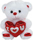 Dorosimo Plush Teddy Bear 35 cm