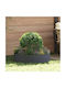 Planter Ring 5 Pcs Anthracite 80 x 80 x 20 cm