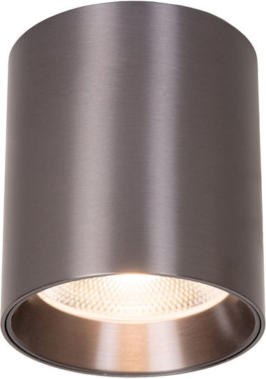 Φωτιστικό Οροφής Lucide 55953-15-08 Straxx Γκρι Grey 2700k-4000k