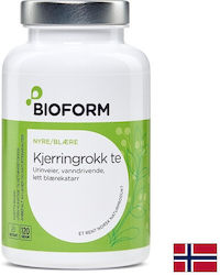 Biochimica Полски хвощ 120 г Biochimica Полски хвощ 120 г