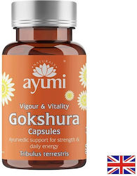 Ayumi Гокшура (Tribulus terrestris) Енергия 60 Капсули Ayumi Гокшура (Tribulus terrestris) Енергия 60 Капсули