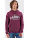 Hooded Sweatshirt Fig/Whitecap Grey