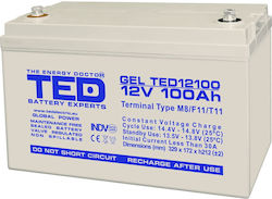 Ted Electric Gel Battery Ted Electric 12v 100ah Deep Cycle M8 330 X 173 X 212 Mm