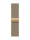 Apple Milanese Loop In Bright Gold 40 Mm Case
