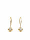 9K Gold Dangle Earrings with Zircon Sk071afr