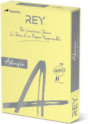 Rey Adagio Rey Adagio