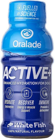 Oralade Probiotika für Hunde und Katzen 250 ml bei Magen-Darm-Erkrankungen