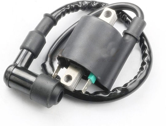 Zündspule Pcx125/150 30510-k35-v01 Roc