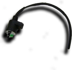 Ignitech Zündspule IC-CDI-F