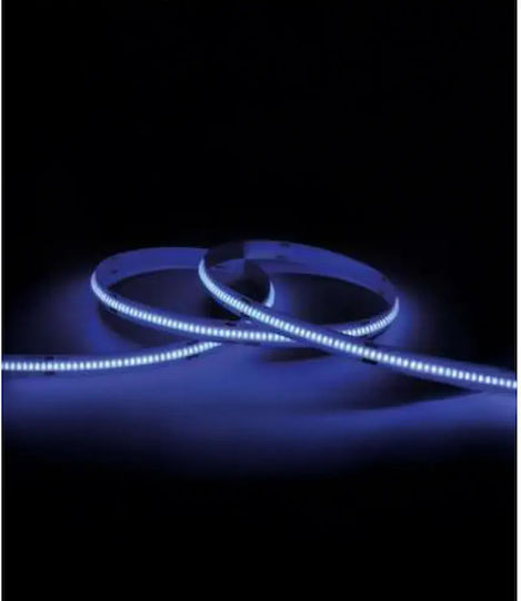 Cubalux 24V LED Strip Blue Light