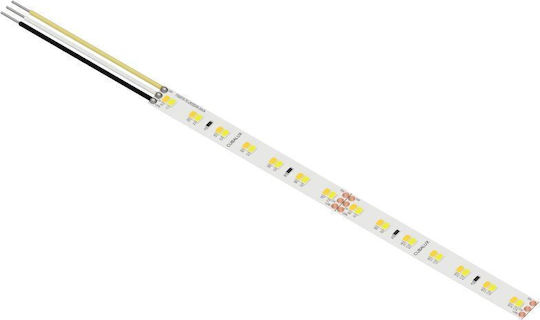 Cubalux Jazz 24V 5m LED Strip