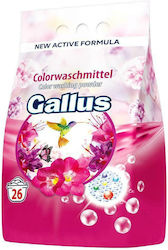 Gama Waschpulver für Buntwäsche 1,7 kg (26 Messlöffel)