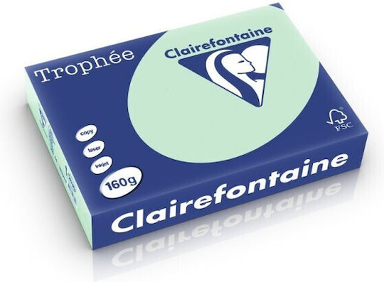 Clairefontaine A4 Coloured Card 160 Gsm Pale Green 250 Sheets Ream Varnished