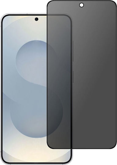 Privacy Vollflächig Gehärtetes Glas (Galaxy S25 EdgeiPhone 17 Pro Max / 16 Pro Max)
