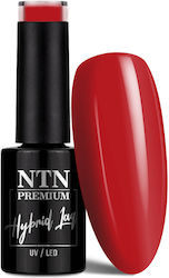 NTN Premium Oriental Delice Gel Nail Polish 5gr