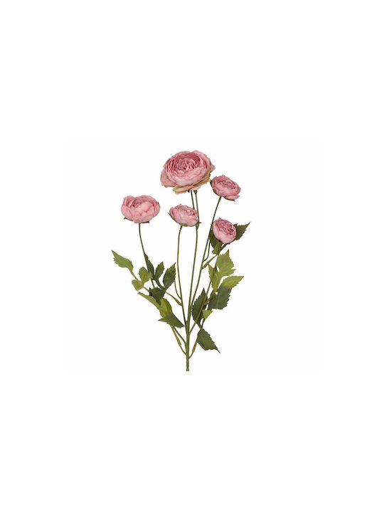Ramură de Ranunculus cu 5 Flori, Roz de Toamnă,...