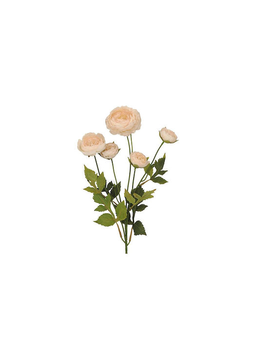 Ramură de Piciorul-cocoșului cu 5 Flori Crem 62 cm