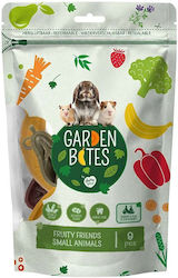 Duvo Plus Leckerli für Nagetiere 76 g 9 Stück Duvo Plus Leckerli für Nagetiere 76 g 9 Stück