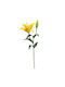 Τεχνητό Λουλούδι 56κ Emerald Lily Yellow 433644