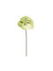 Artificial Branch 65 cm Emerald Anthurium Green 435629