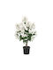 Artificial Flower in Pot 65cm Emerald Syringa White UV 436184