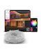 Philips Hue Festavia Smart Garland Lights 8.5m Warm to Cool White