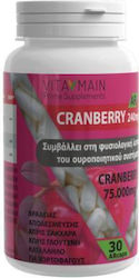 Vitamain Cranberry 240mg 30 Capsules Vitamain Cranberry 240mg 30 Capsules
