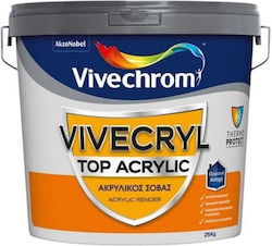 Vivechrom Vivecryl Acrylic Emulsion Paint for I...