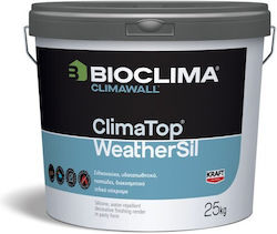 Kraft Decorative Paint White 5kg JC62106K15115