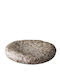 Raw Shallow Grey Ceramic Plate with a Diameter of 15.8 cm, 6 Pieces