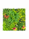 Oxford Home Künstliches Pflanzenpanel 1 x 1 m